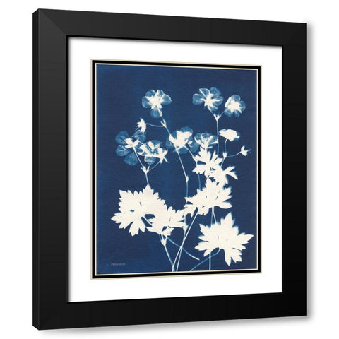 Alpine Flower V Black Modern Wood Framed Art Print with Double Matting by Ferguson, Kathy