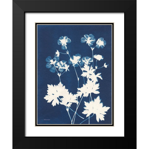 Alpine Flower V Black Modern Wood Framed Art Print with Double Matting by Ferguson, Kathy