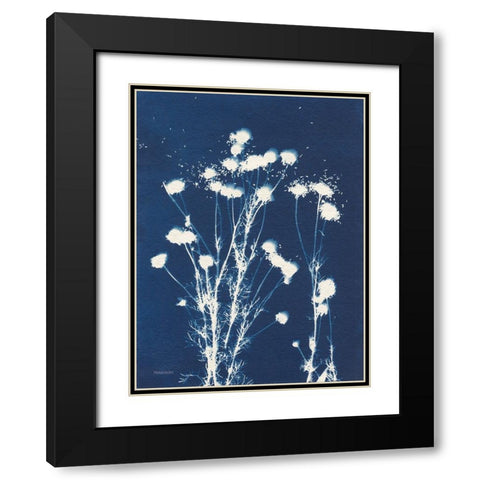 Alpine Flower VI Black Modern Wood Framed Art Print with Double Matting by Ferguson, Kathy
