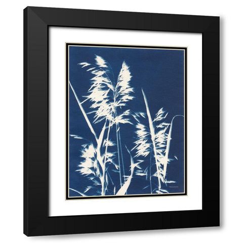 Ornamental Grass VI Black Modern Wood Framed Art Print with Double Matting by Ferguson, Kathy