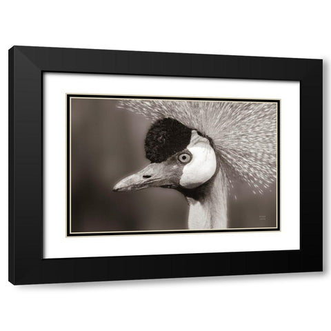 Sepia Black Modern Wood Framed Art Print with Double Matting by Larson, Nathan