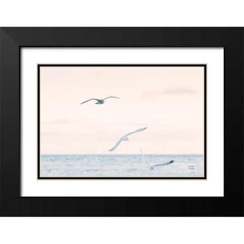 Sunset Flocks Black Modern Wood Framed Art Print with Double Matting by Larson, Nathan