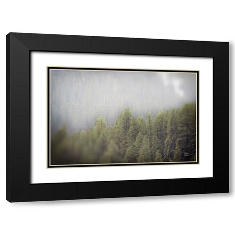 Northern Forests Black Modern Wood Framed Art Print with Double Matting by Larson, Nathan