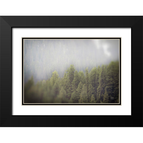 Northern Forests Black Modern Wood Framed Art Print with Double Matting by Larson, Nathan