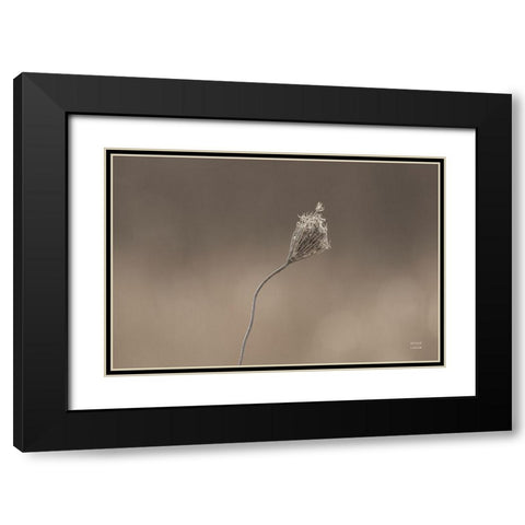 Upcoming Release Black Modern Wood Framed Art Print with Double Matting by Larson, Nathan