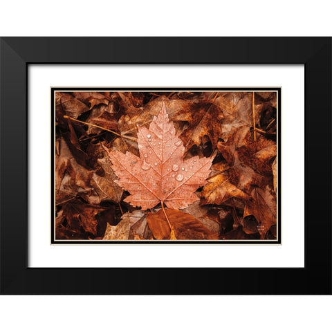 Fall Rains I Black Modern Wood Framed Art Print with Double Matting by Larson, Nathan