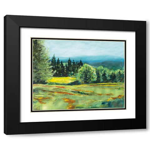 Pocket Meadow Black Modern Wood Framed Art Print with Double Matting by Schlabach, Sue