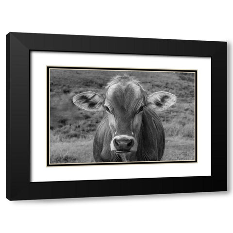 Dairy Barn BW Black Modern Wood Framed Art Print with Double Matting by Larson, Nathan