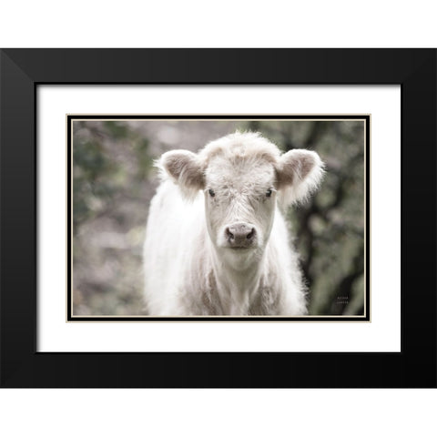 White Calf Black Modern Wood Framed Art Print with Double Matting by Larson, Nathan