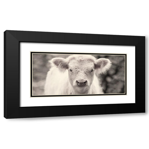 White Calf Panel Black Modern Wood Framed Art Print with Double Matting by Larson, Nathan