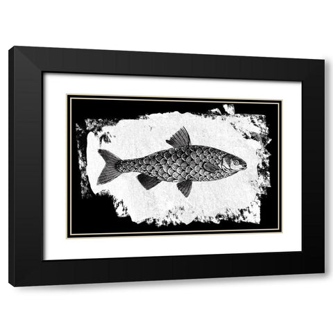 Fish I Black Modern Wood Framed Art Print with Double Matting by Adams, Sarah