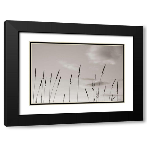 Grasslands Black Modern Wood Framed Art Print with Double Matting by Larson, Nathan