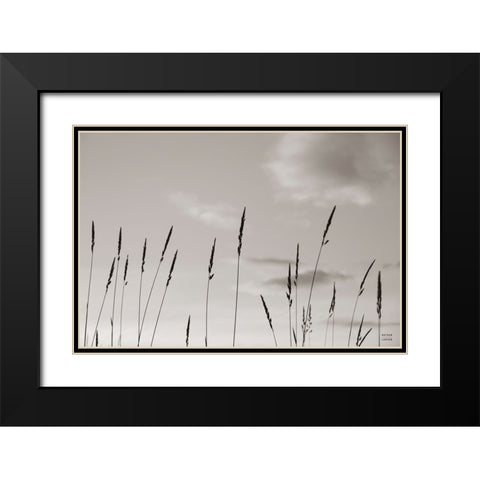 Grasslands Black Modern Wood Framed Art Print with Double Matting by Larson, Nathan