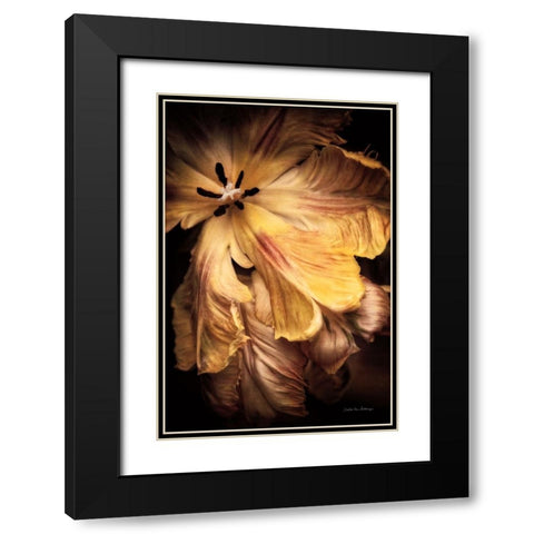 Tulip Detail I Black Modern Wood Framed Art Print with Double Matting by Van Swearingen, Debra