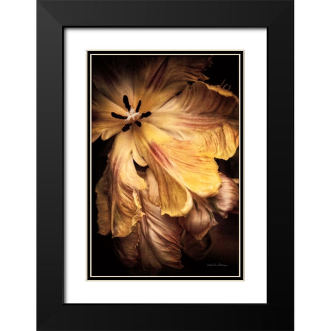 Tulip Detail I Black Modern Wood Framed Art Print with Double Matting by Van Swearingen, Debra