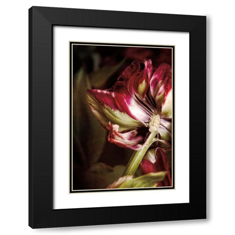 Tulip Detail II Black Modern Wood Framed Art Print with Double Matting by Van Swearingen, Debra