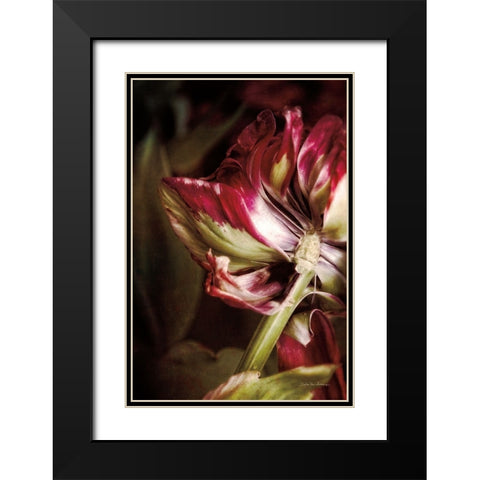 Tulip Detail II Black Modern Wood Framed Art Print with Double Matting by Van Swearingen, Debra