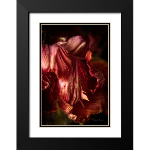 Tulip Detail III Black Modern Wood Framed Art Print with Double Matting by Van Swearingen, Debra