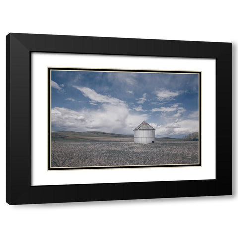 Sunny Pastures Black Modern Wood Framed Art Print with Double Matting by Larson, Nathan
