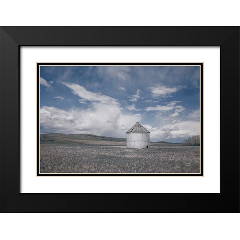 Sunny Pastures Black Modern Wood Framed Art Print with Double Matting by Larson, Nathan