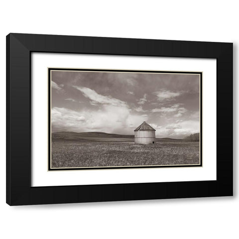 Sunny Pastures BW Black Modern Wood Framed Art Print with Double Matting by Larson, Nathan