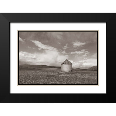 Sunny Pastures BW Black Modern Wood Framed Art Print with Double Matting by Larson, Nathan