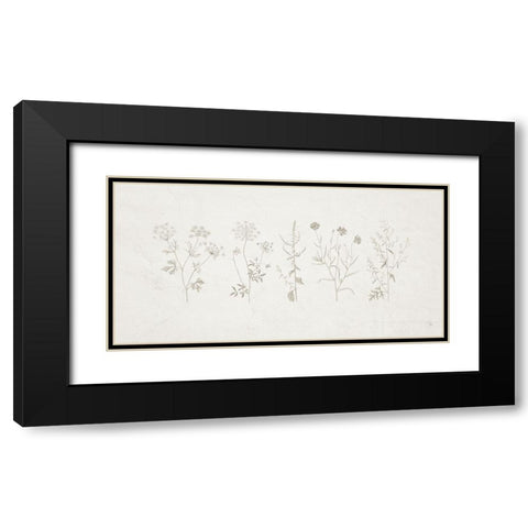 Gifts from the Meadow  I Black Modern Wood Framed Art Print with Double Matting by Adams, Sarah