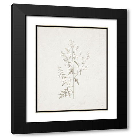 Gifts from the Meadow II Black Modern Wood Framed Art Print with Double Matting by Adams, Sarah