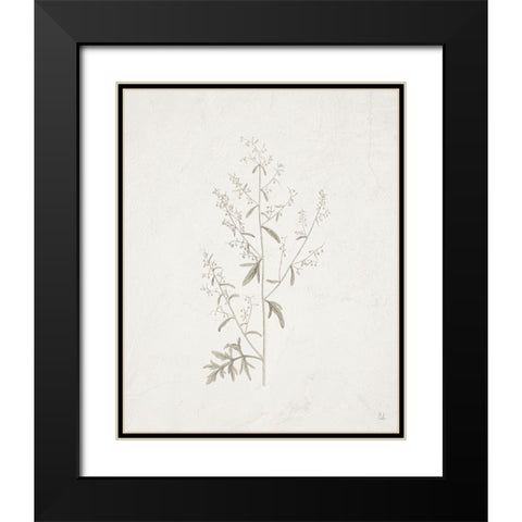 Gifts from the Meadow II Black Modern Wood Framed Art Print with Double Matting by Adams, Sarah