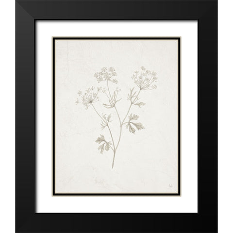 Gifts from the Meadow IV Black Modern Wood Framed Art Print with Double Matting by Adams, Sarah