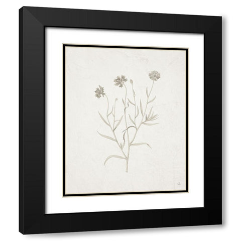 Gifts from the Meadow V Black Modern Wood Framed Art Print with Double Matting by Adams, Sarah