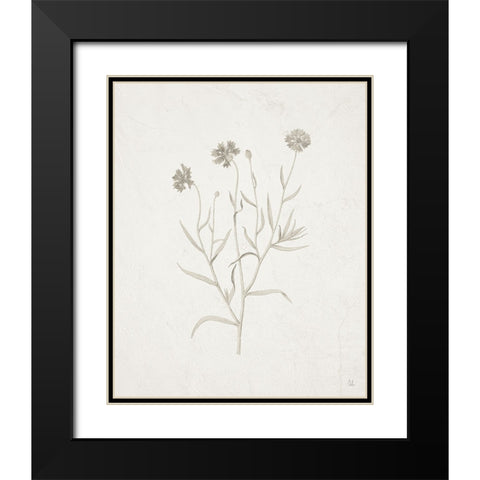 Gifts from the Meadow V Black Modern Wood Framed Art Print with Double Matting by Adams, Sarah