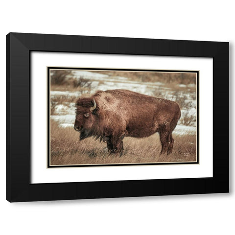 Solitary Black Modern Wood Framed Art Print with Double Matting by Larson, Nathan
