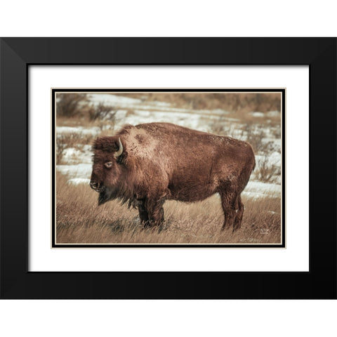 Solitary Black Modern Wood Framed Art Print with Double Matting by Larson, Nathan