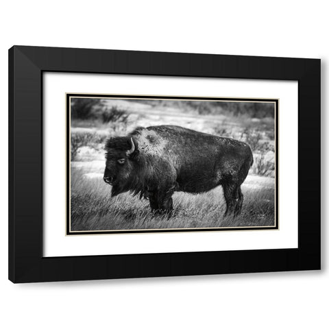 Solitary BW Black Modern Wood Framed Art Print with Double Matting by Larson, Nathan