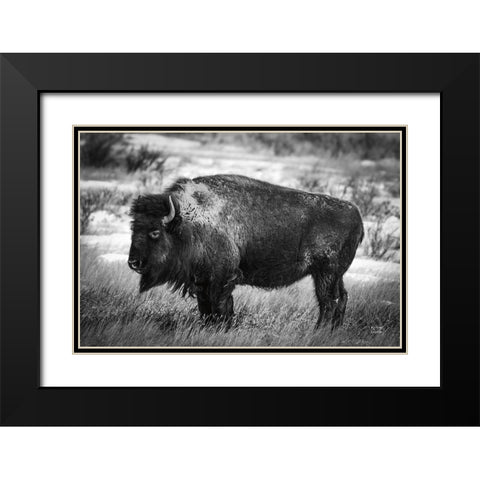 Solitary BW Black Modern Wood Framed Art Print with Double Matting by Larson, Nathan