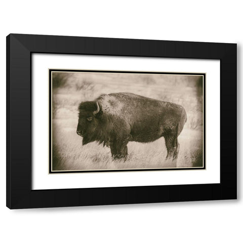 Solitary Sepia Black Modern Wood Framed Art Print with Double Matting by Larson, Nathan