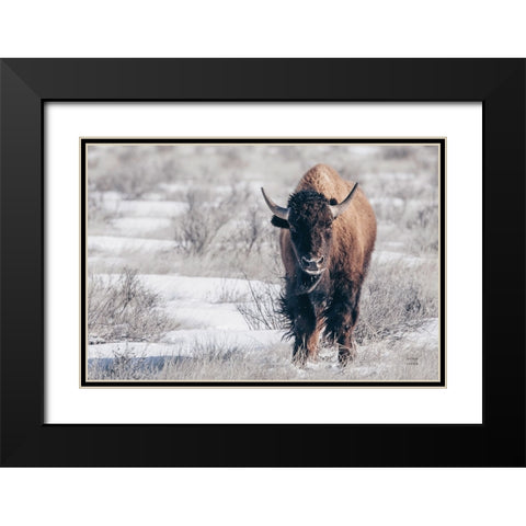 Bison Beauty Black Modern Wood Framed Art Print with Double Matting by Larson, Nathan