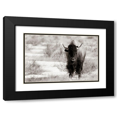 Bison Beauty BW Black Modern Wood Framed Art Print with Double Matting by Larson, Nathan