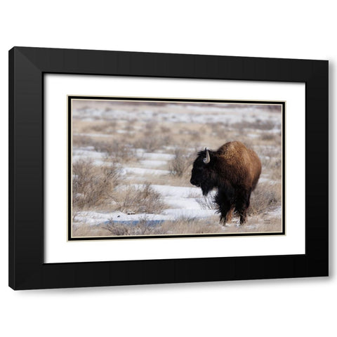 Lookout Black Modern Wood Framed Art Print with Double Matting by Larson, Nathan