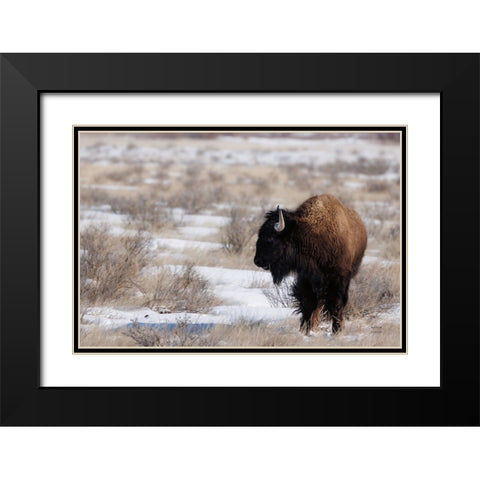 Lookout Black Modern Wood Framed Art Print with Double Matting by Larson, Nathan