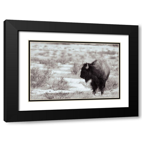 Lookout BW Black Modern Wood Framed Art Print with Double Matting by Larson, Nathan