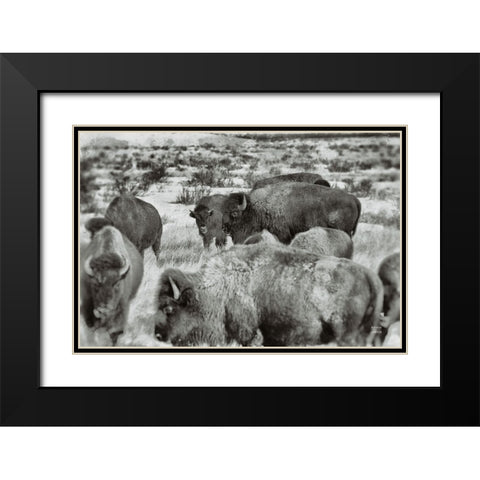 Open Range I Black Modern Wood Framed Art Print with Double Matting by Larson, Nathan