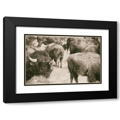 Open Range II Black Modern Wood Framed Art Print with Double Matting by Larson, Nathan