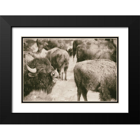 Open Range II Black Modern Wood Framed Art Print with Double Matting by Larson, Nathan