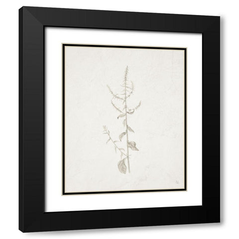 Gifts from the Meadow VI Black Modern Wood Framed Art Print with Double Matting by Adams, Sarah