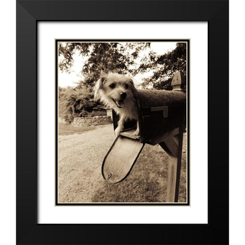 You ve got mail Black Modern Wood Framed Art Print with Double Matting by Dratfield, Jim