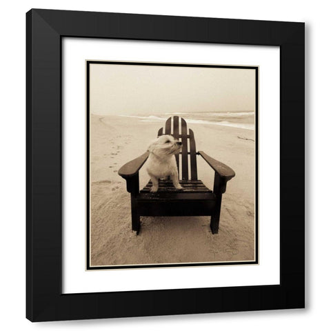 Lifes a beach Black Modern Wood Framed Art Print with Double Matting by Dratfield, Jim