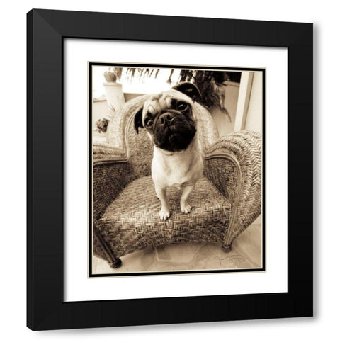 Wonder Black Modern Wood Framed Art Print with Double Matting by Dratfield, Jim