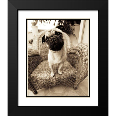 Wonder Black Modern Wood Framed Art Print with Double Matting by Dratfield, Jim